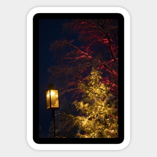 Christmas Tree at Night Sticker